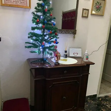 Casa Belte *